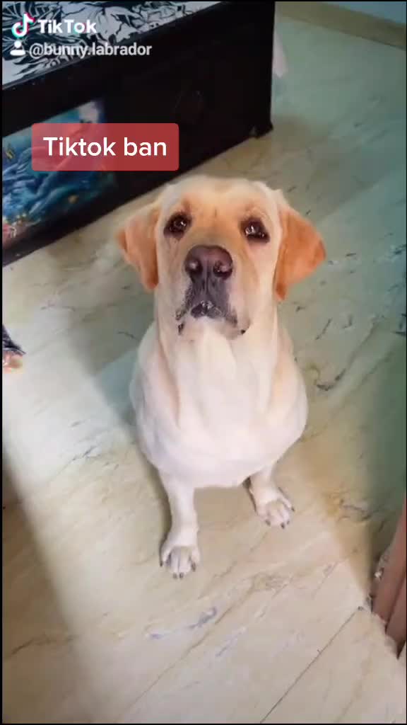 @user38530715122