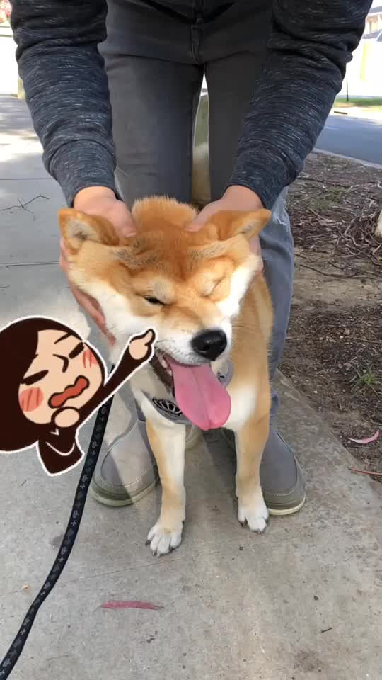 @Mochi.Shogun
