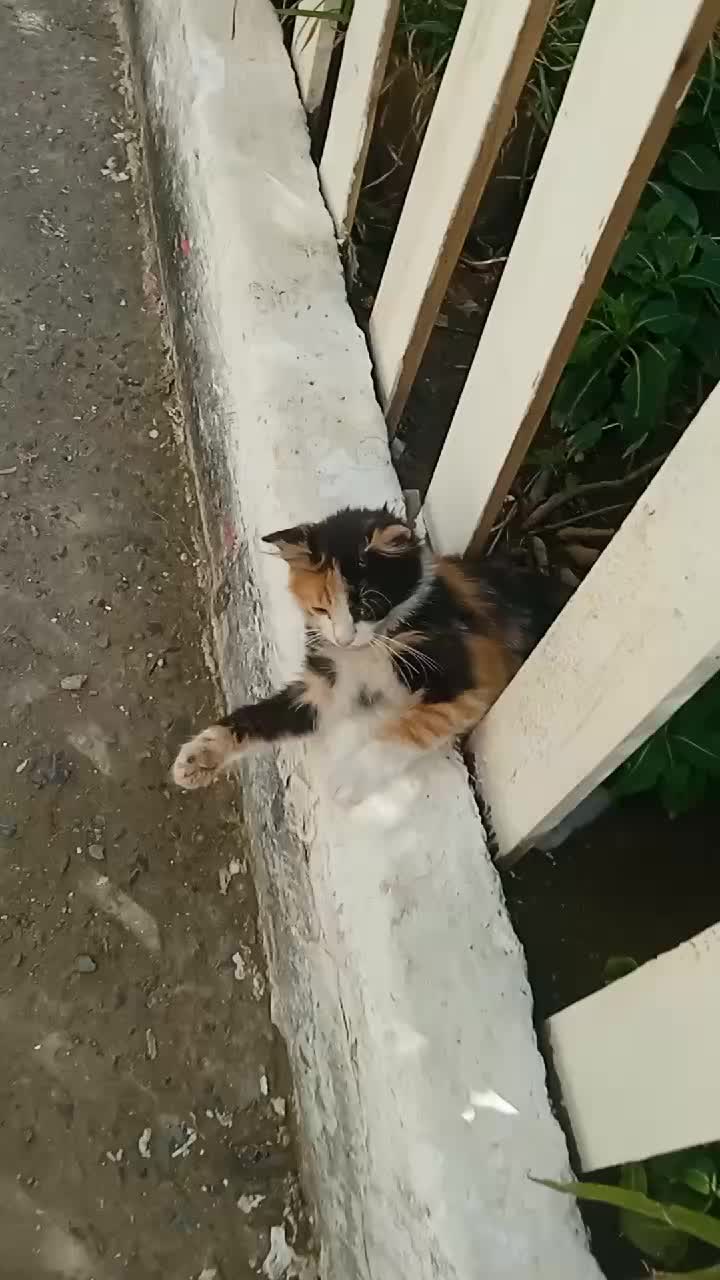 @WAHIIBA KOUBA