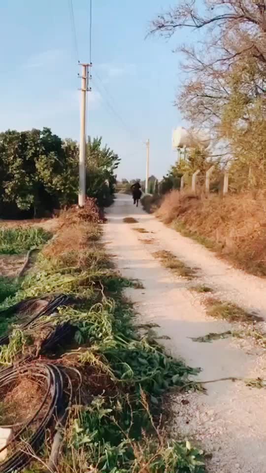 @Barış KAYA