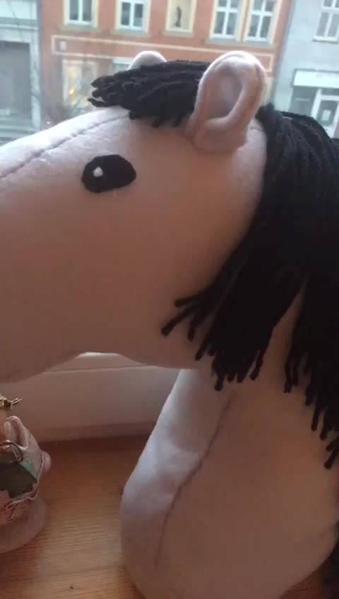 @Hobby horsing🤗🙂