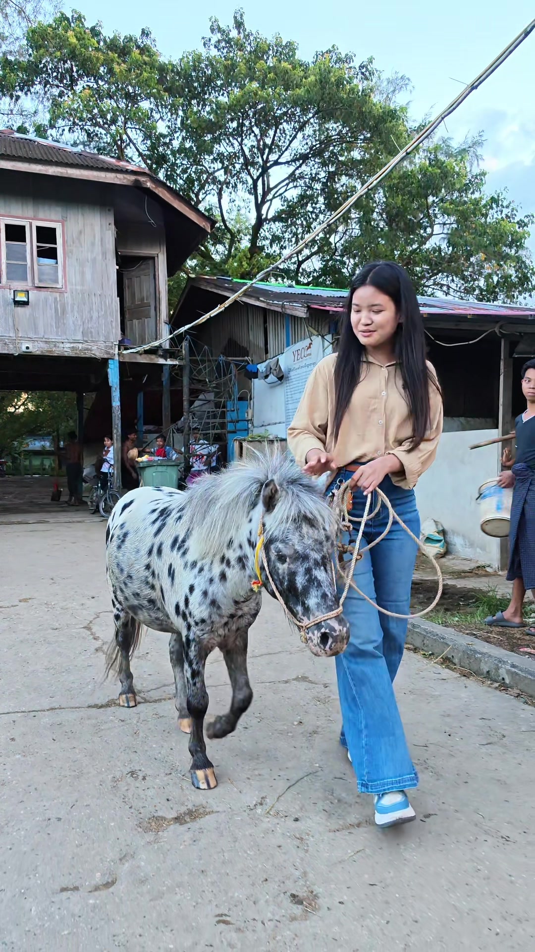 @Phyu Phyu Htwe