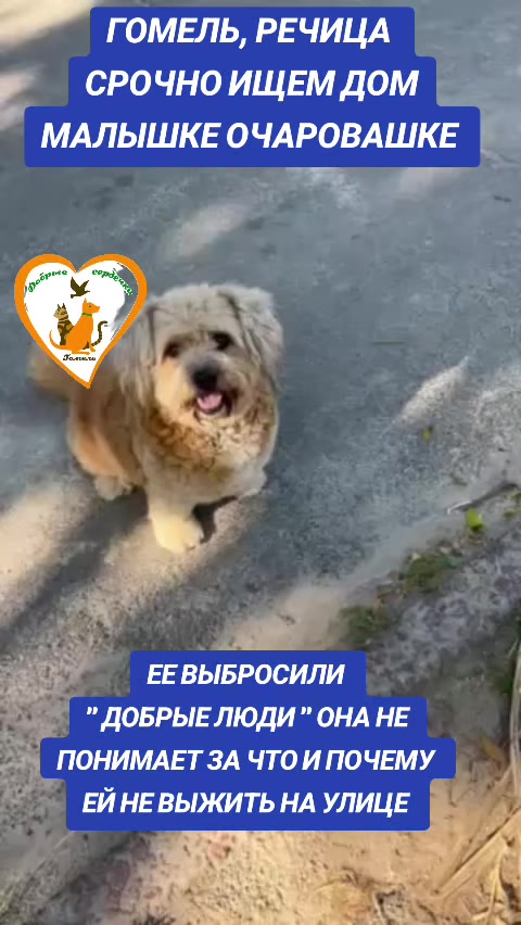 @Марина
