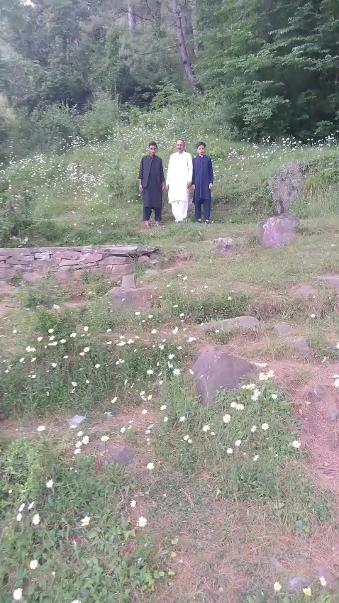 @Saeed Zaman
