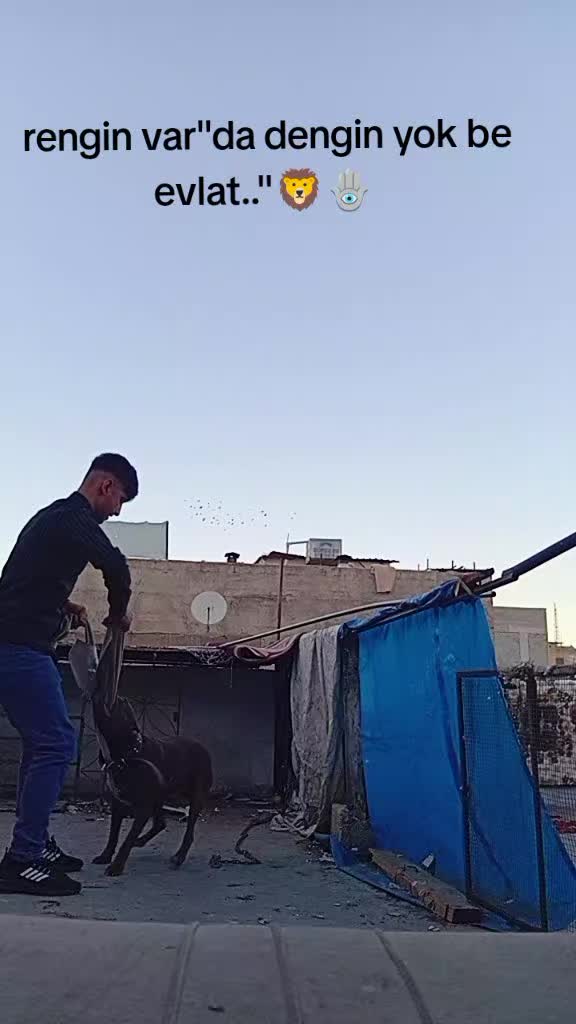 @🦁DİNO🦁