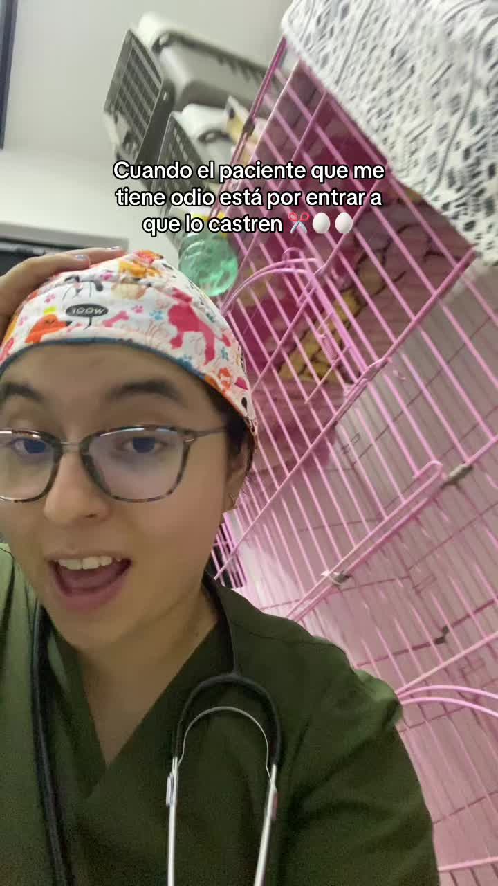 @Pao