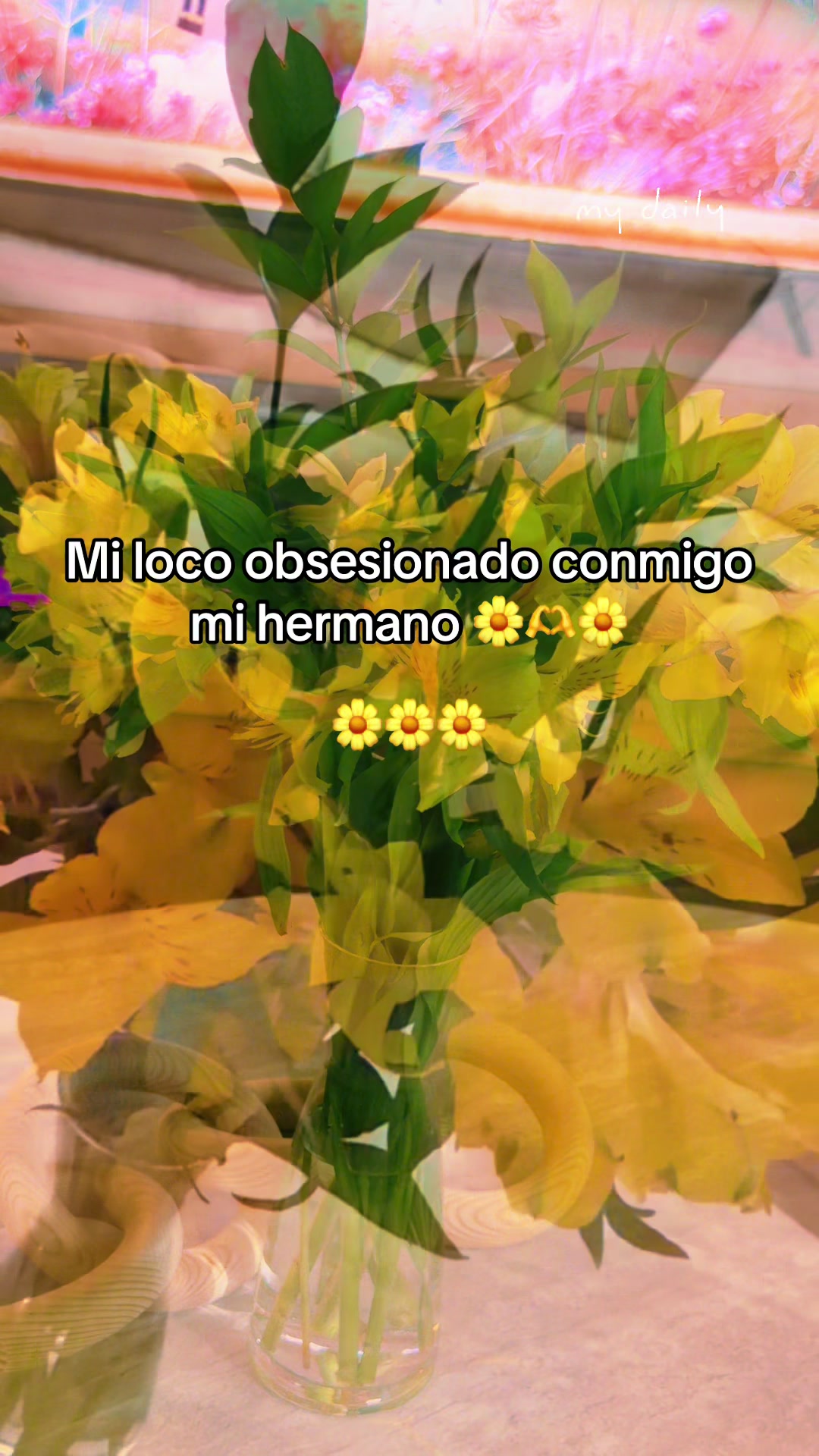 @Mía Yaimara 🦋
