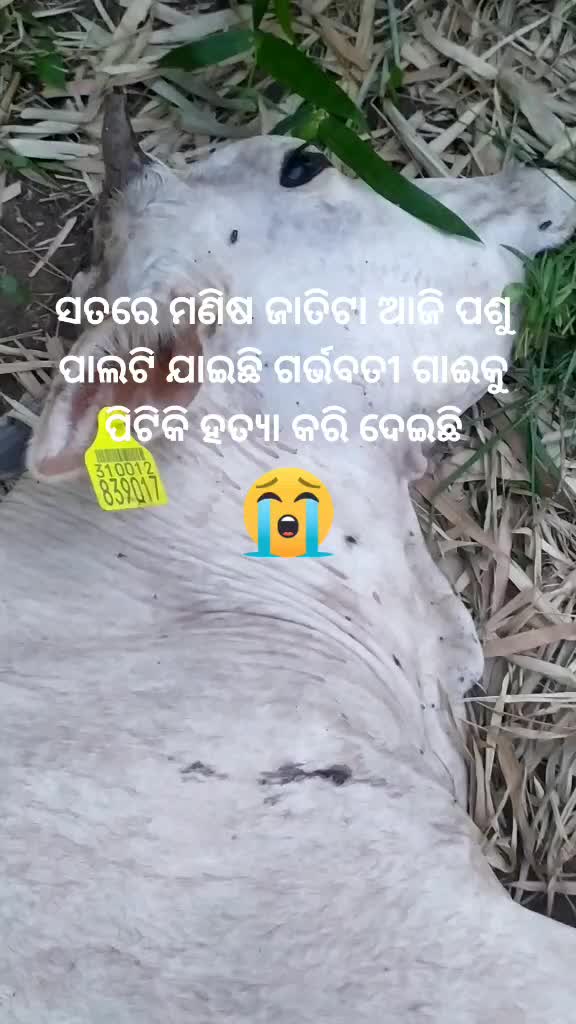 @none