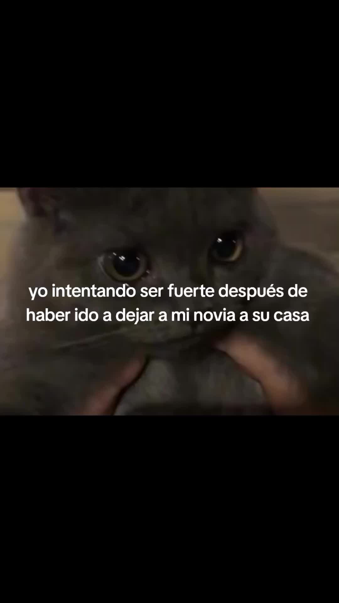 @crissparker