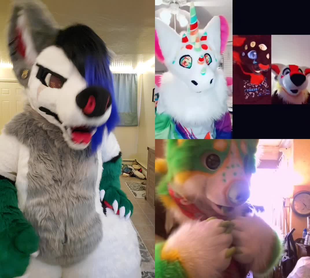 @Luna Husky