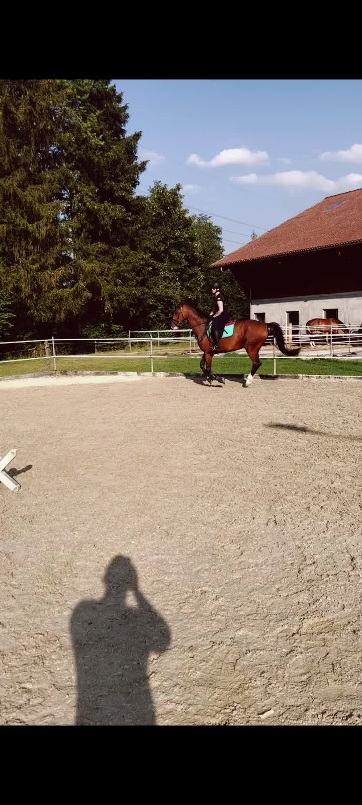 @Marta Baranowska