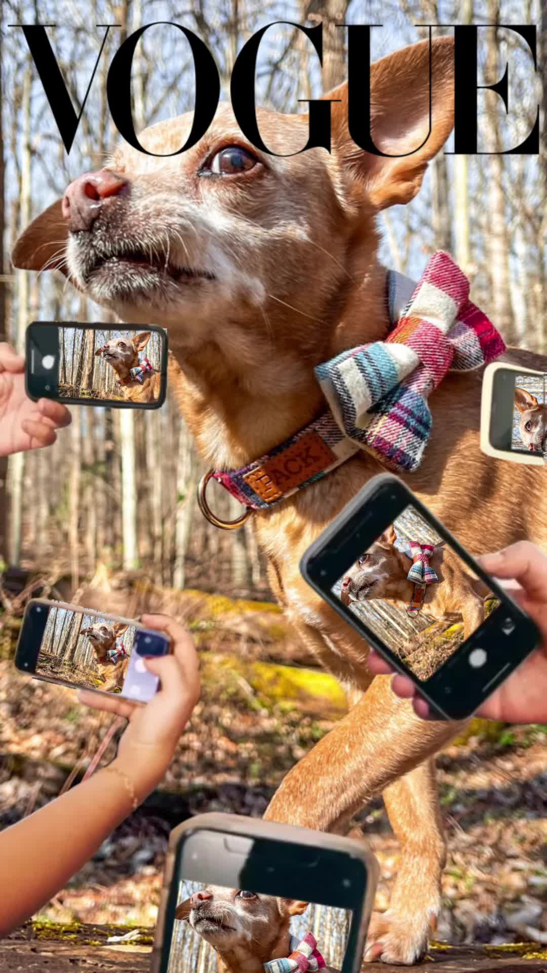@Raised by Wolves