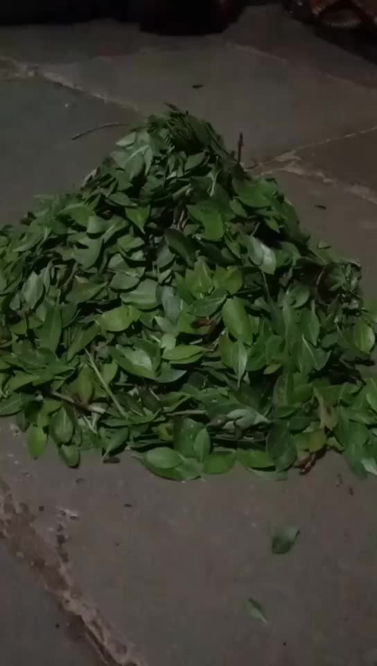 @Manu 5757