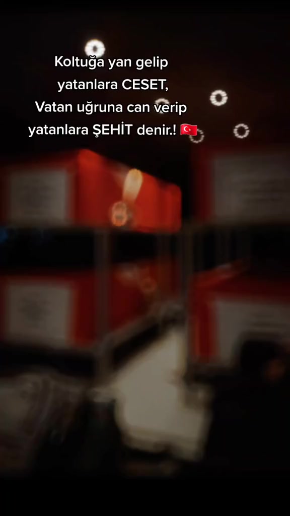 @YANLIZ KURT🐺