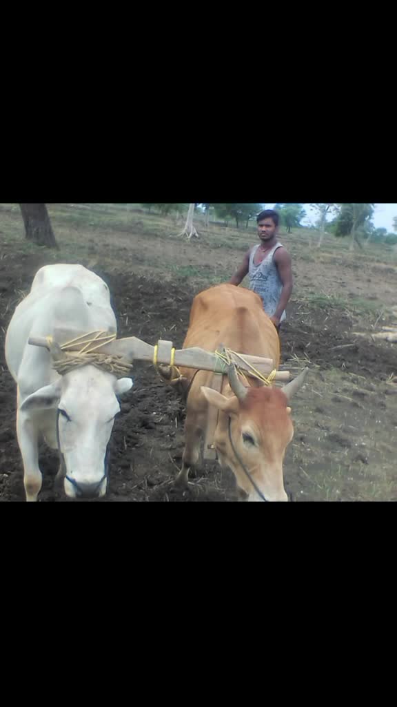 @lakush yadav