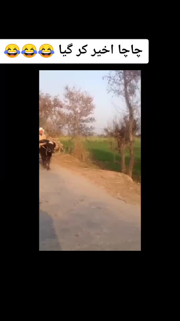@کبڈی ما ری جان