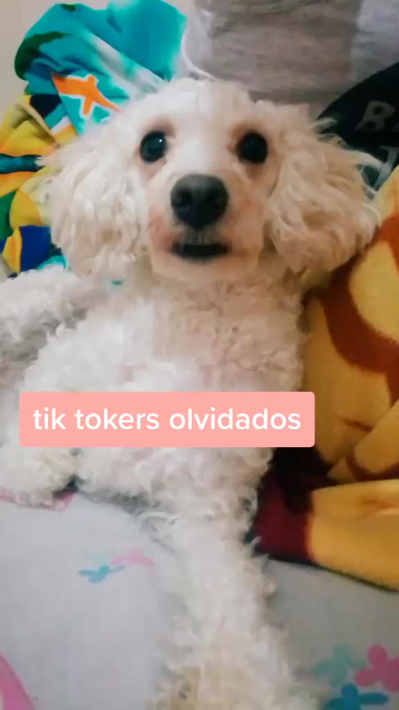 @Princesadulce&mdash;