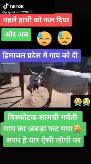 @महेश_सदाकळे...😎🚩🚩