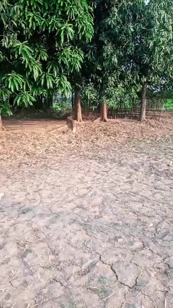 @Bhagyadhar