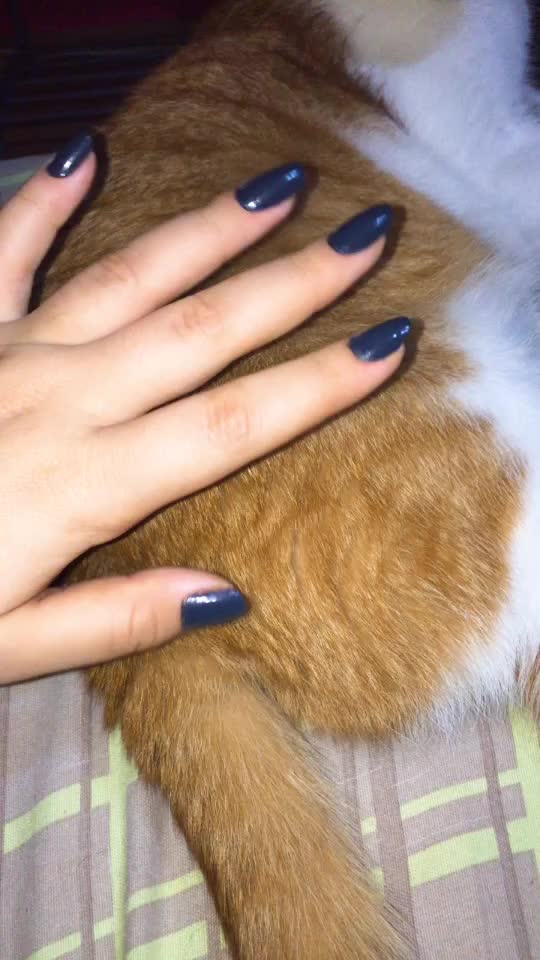 @user824401