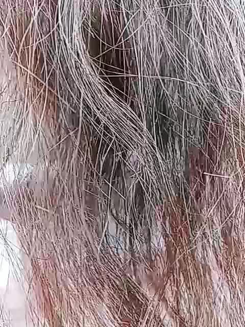 @anchumisaikia