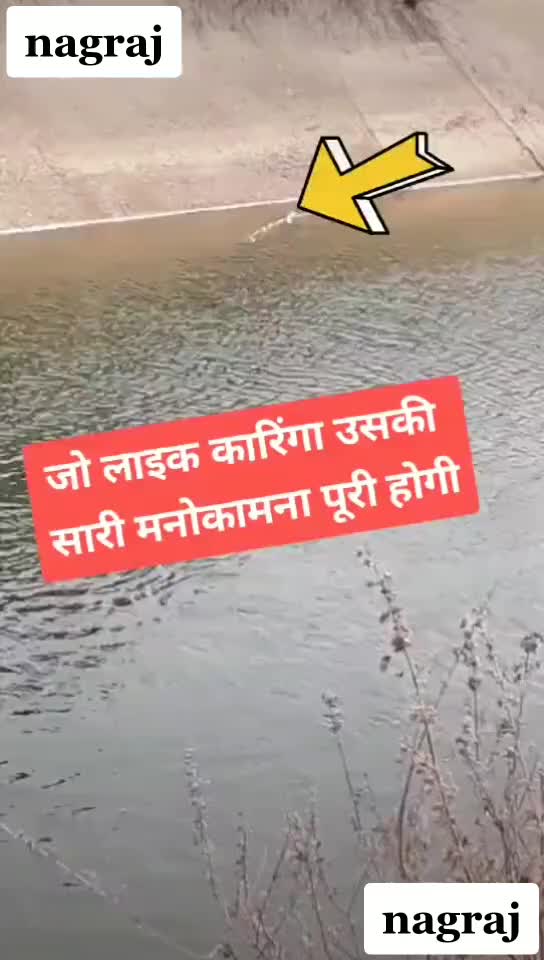 @JAYDEEP DABHI