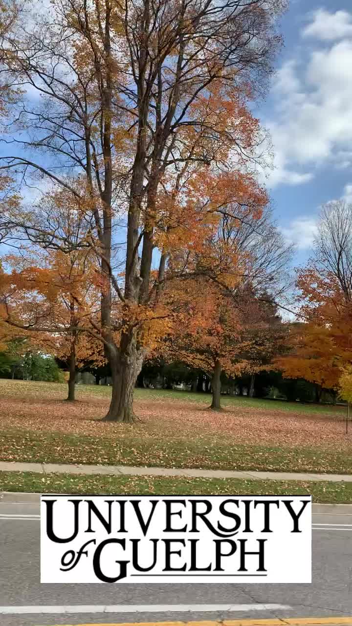@lisa_myra_smith_realtor