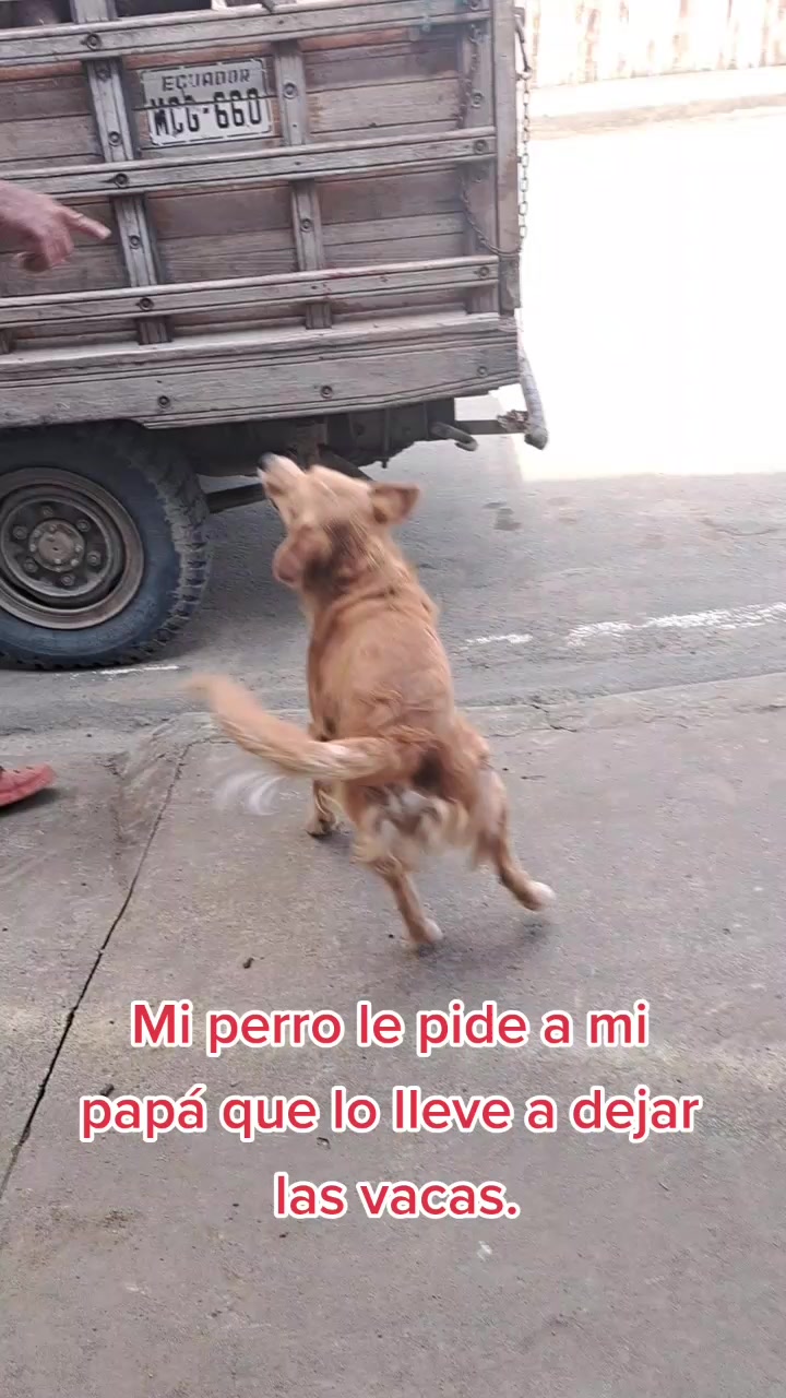 @☆SoyHjalmarVera🤠✅️