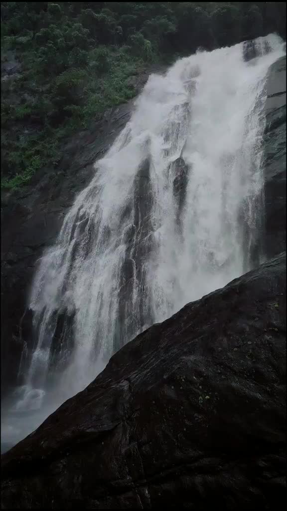 @Meenakshi Anirudhan