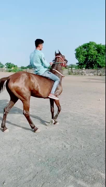 @Ranaji