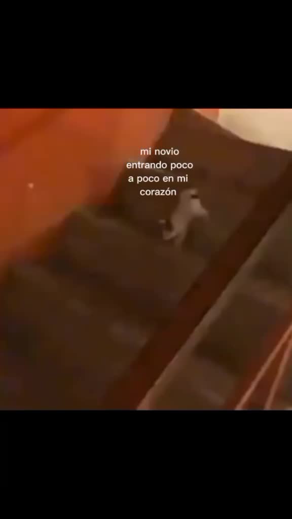 @m.s