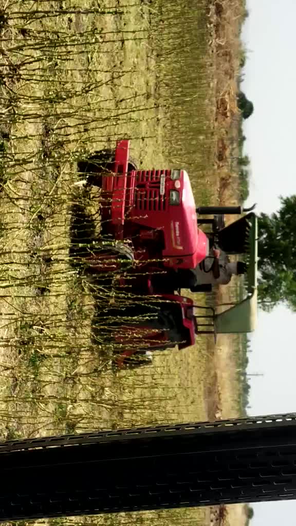 @Sainki Bishnoi