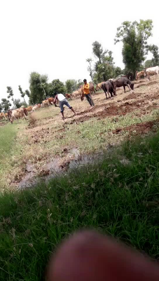 @Tik Toker