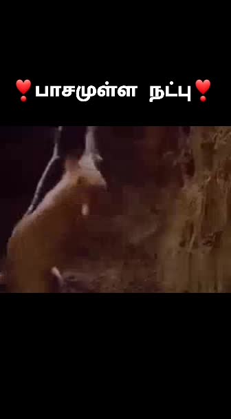 @Anjali