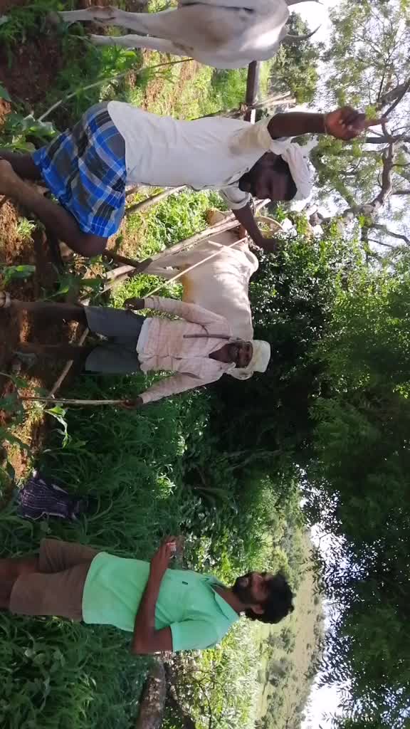 @Hiremath Muttu