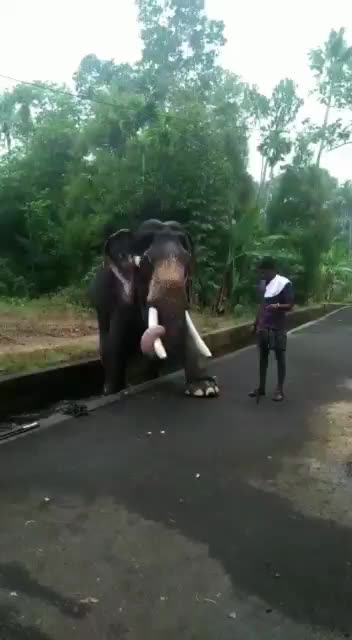 @bijman