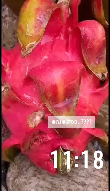 @ananyaa_sree💞