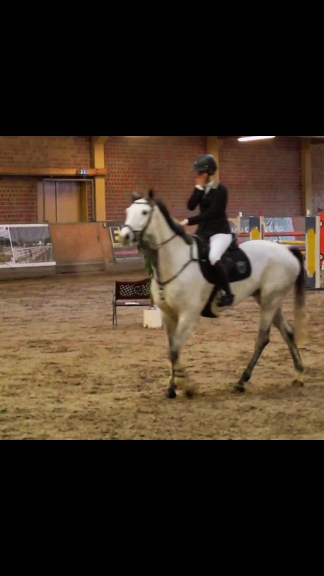 @Sir Ludwig Equestrian