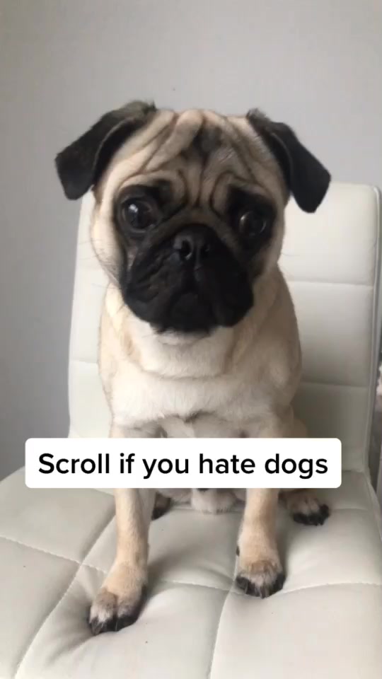 @toby