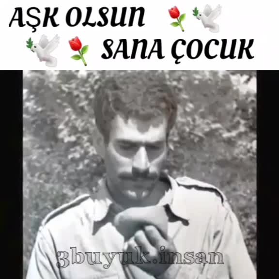 @SeLma Heybetli Didar