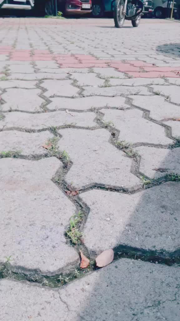 @സഖാവ് രാഹുൽ ഗോപിനാഥൻ
