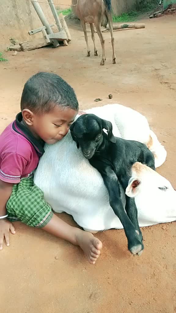 @laxmi netam