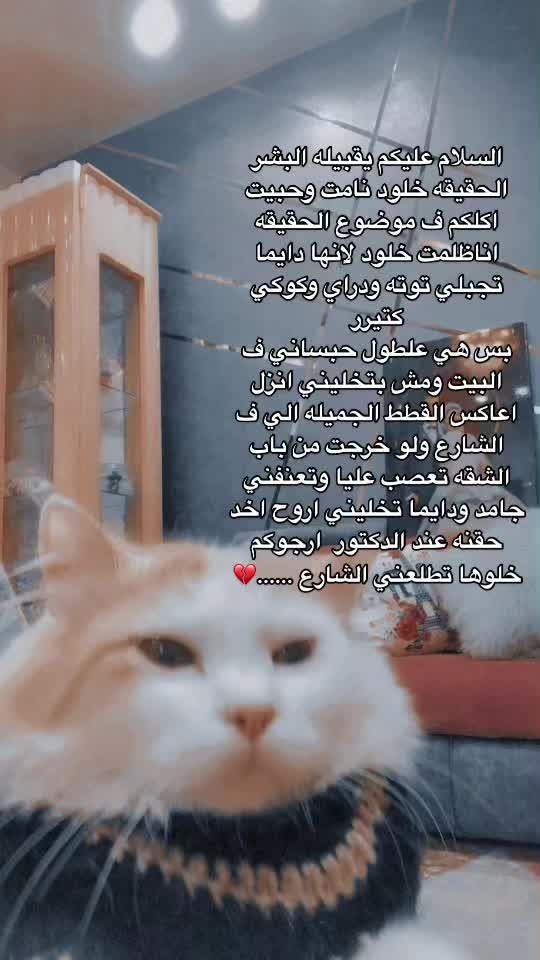 @خوخا كولا 🫣