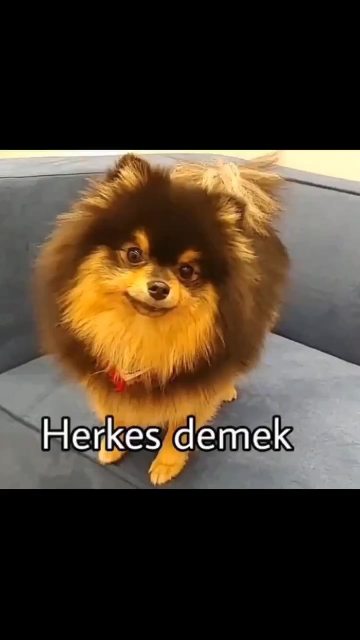@JEON YEONTAN