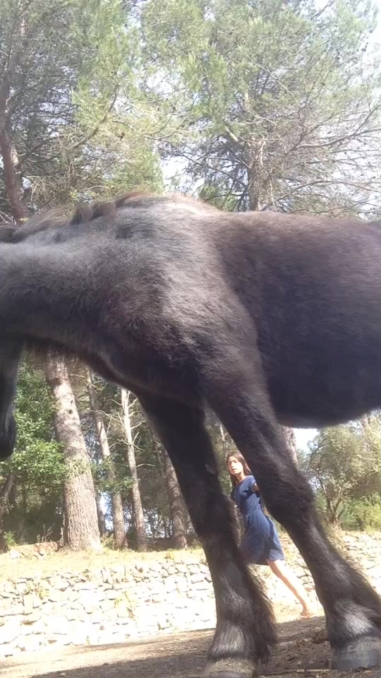 @🐴R&ecirc;ve Compulsif🐴