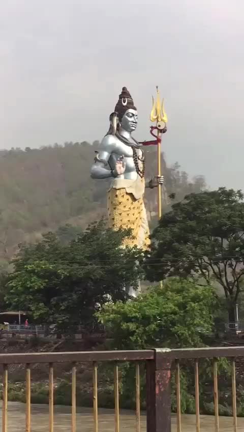 @Kiran Negi