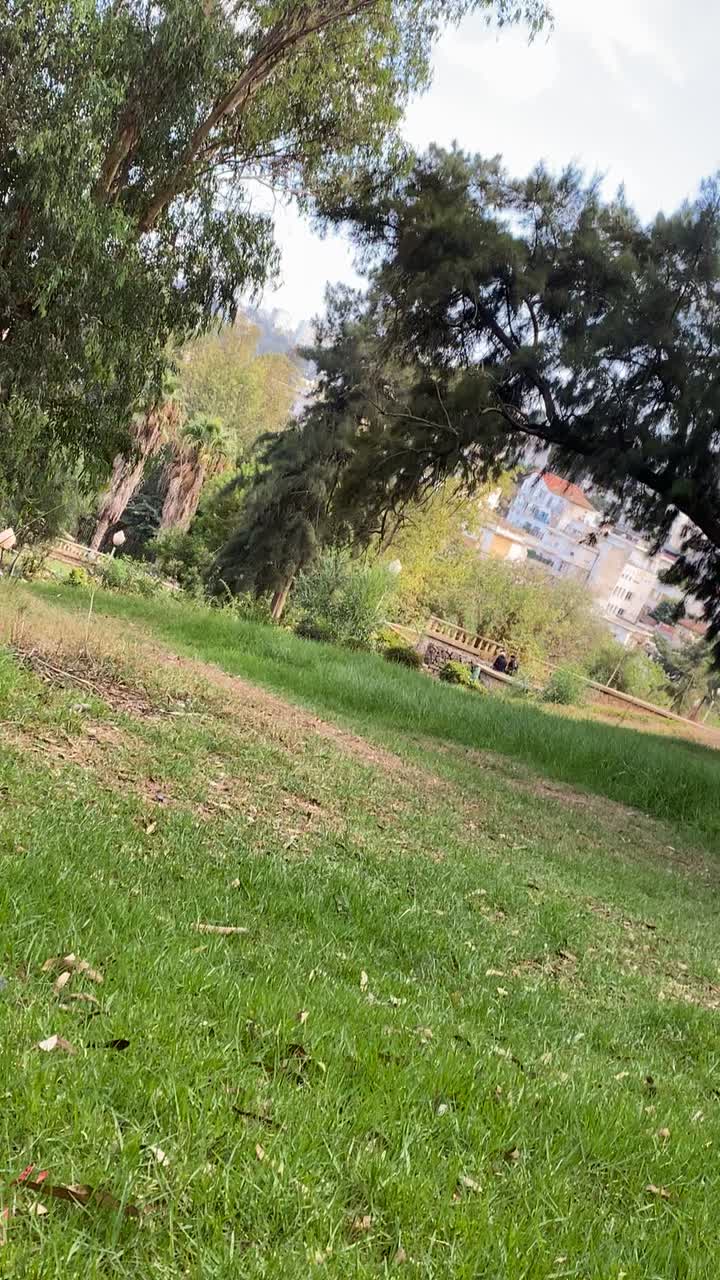 @PAYPOZ