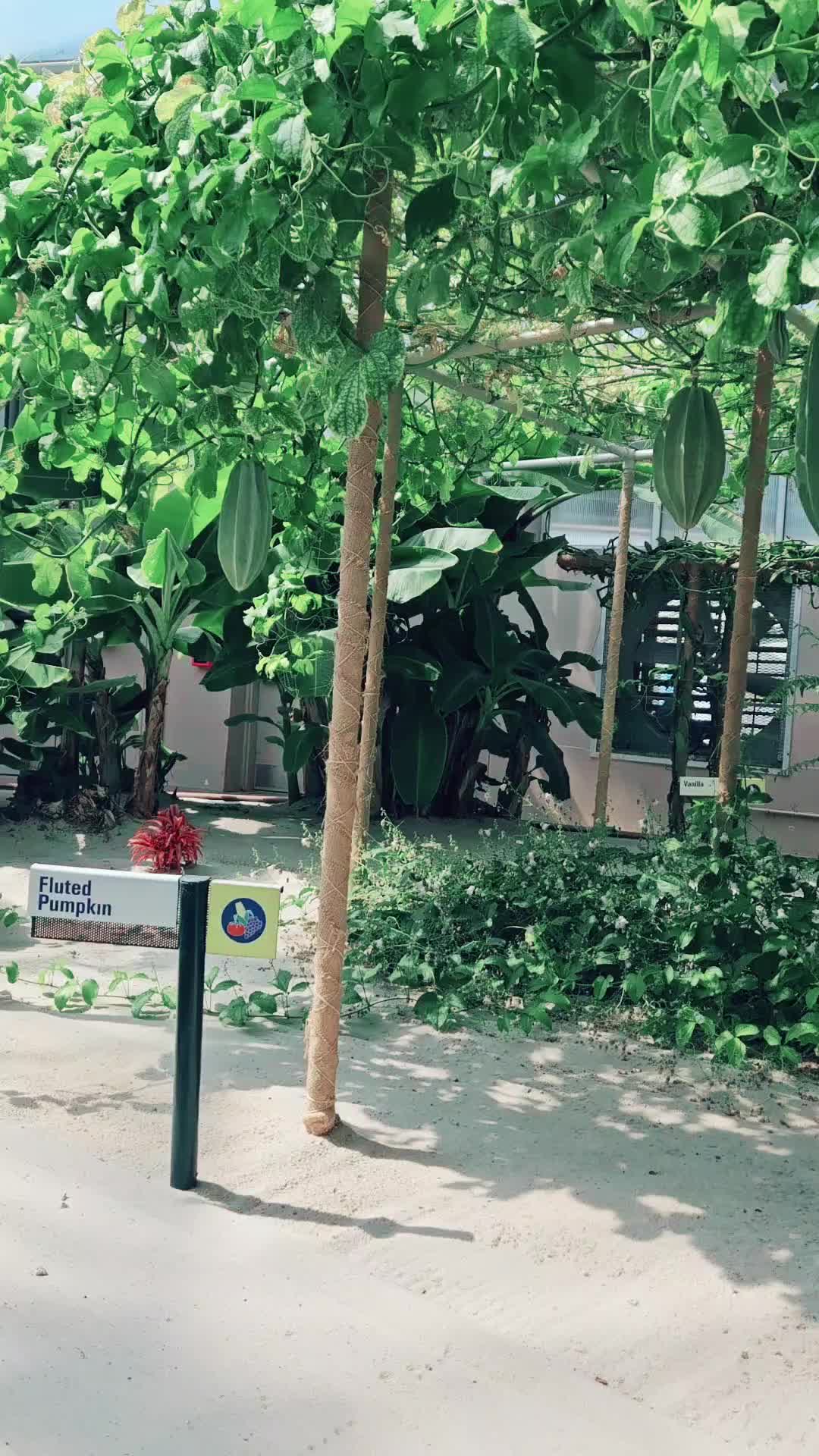 @🌻🌼🇵🇭 YsaBelle 🇨🇦