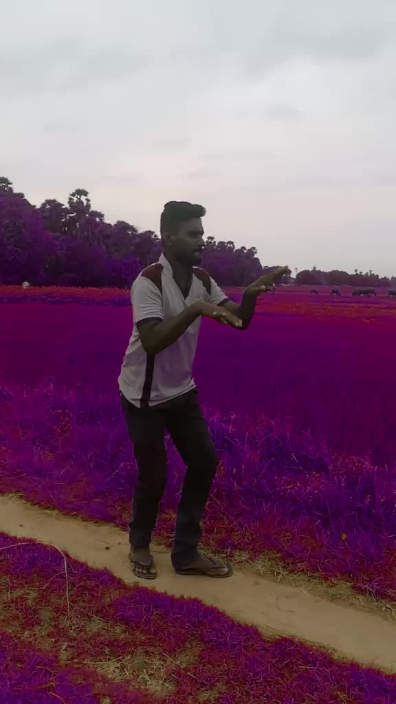 @Siva Vaila