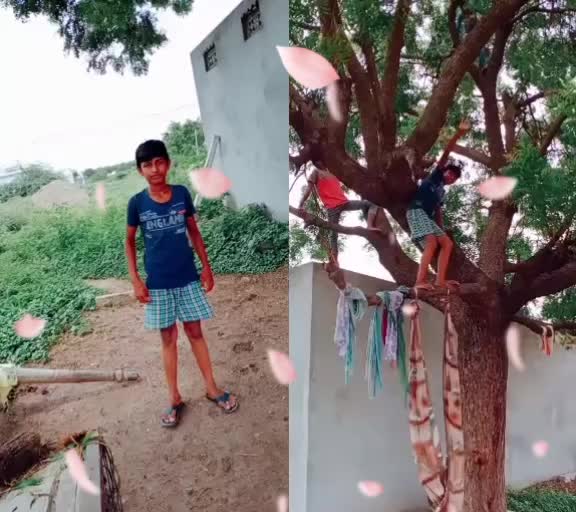 @tik Tok